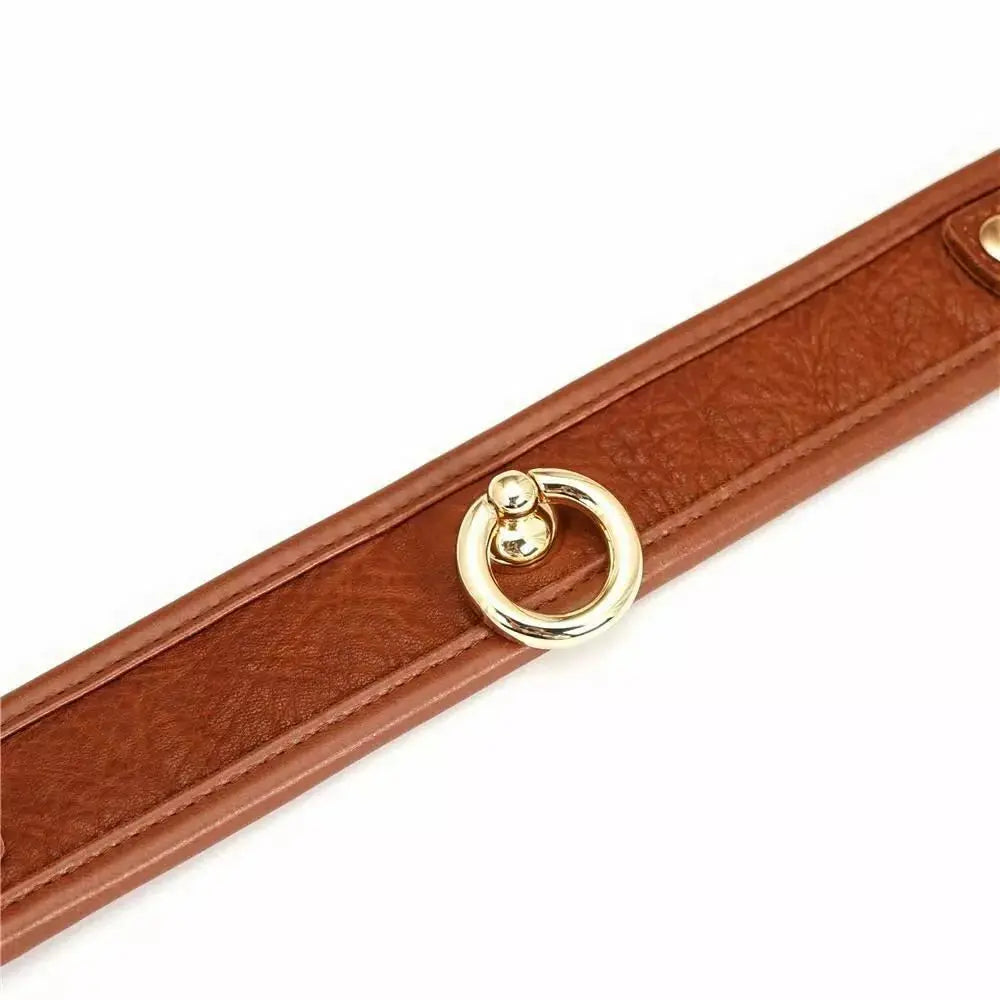 Brown Leather Collar & Leash