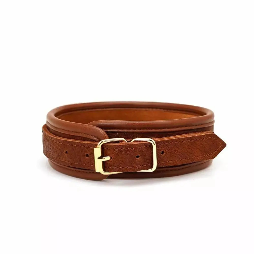 Brown Leather Collar & Leash